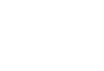 Hamptons Film Festival - logo